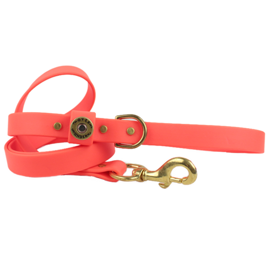 Water Dog Leash Blaze Orange - Over Under Clothing
