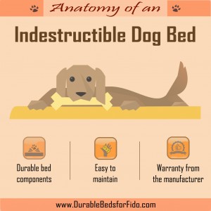 indestructible-dog-bed-infographic