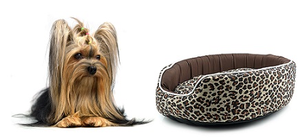 fancy-dog-beds