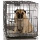 crate-training-puppy